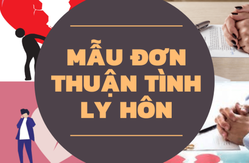 mẫu đơn thuận tình ly hôn